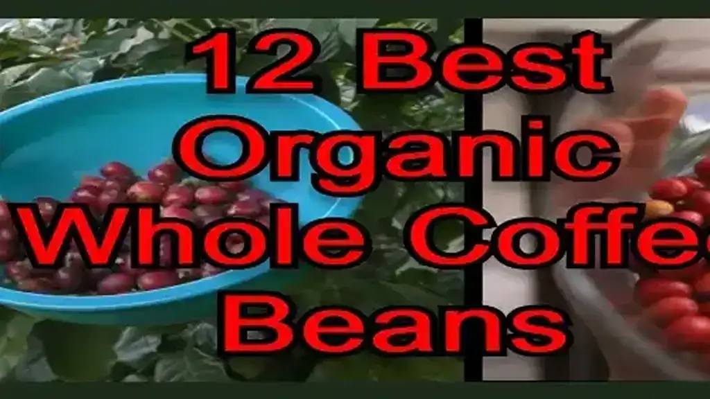 12 Best Organic Whole Coffee Beans