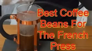 Best Coffee Beans for the French Press Featured Image