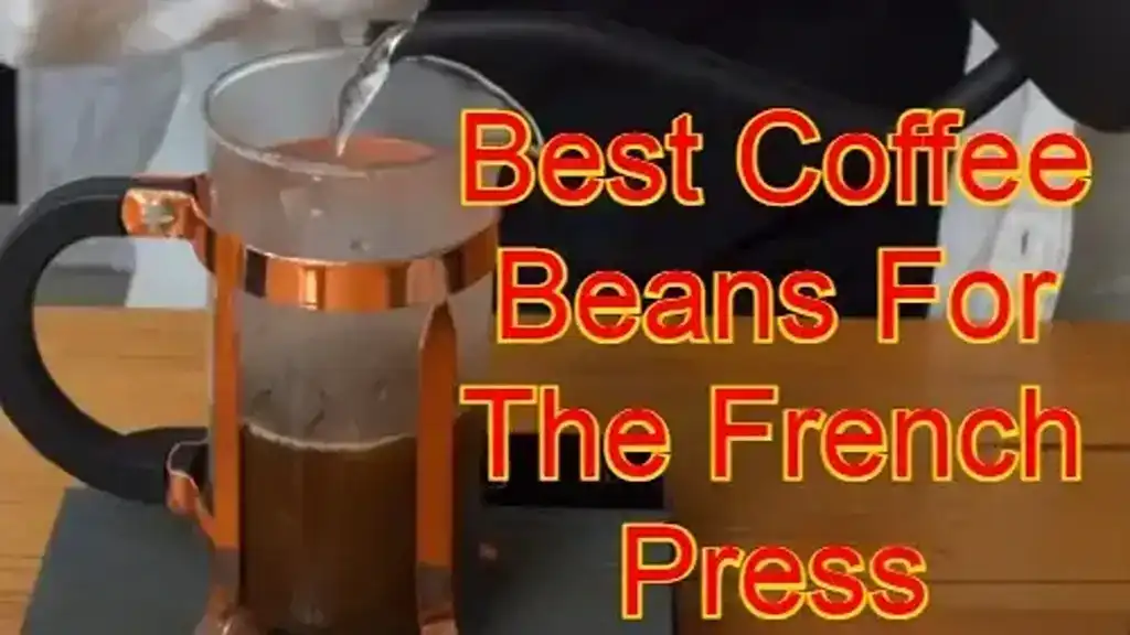 21 Best Coffee Beans for French Press: (2023) Shine Your Brewing Experience