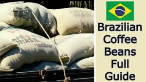 Brazilian Coffee Beans Guide