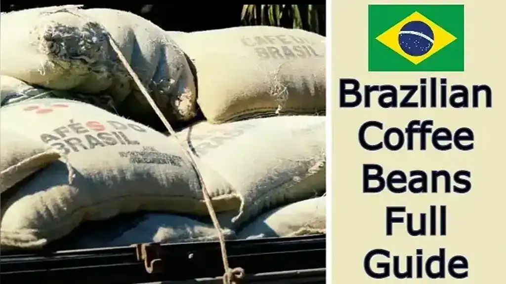Brazilian Coffee Beans – Full Guide on Taste, Farms, Brands, and More