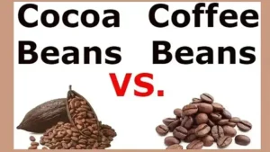 Cocoa Beans vs Coffee Beans