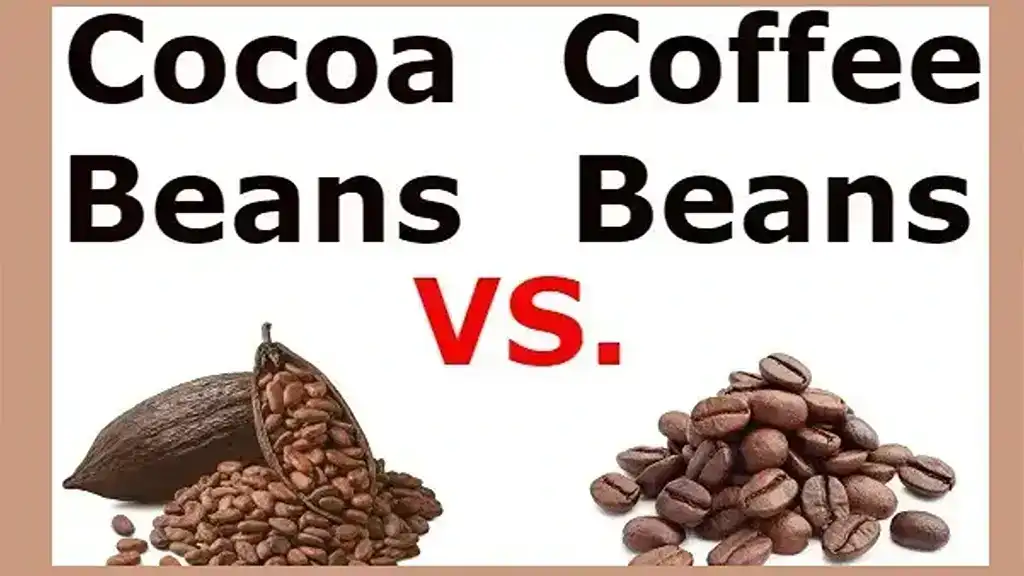 Cocoa Beans vs Coffee Beans – Differences and Benefits