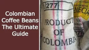 Colombian Coffee Beans Guide