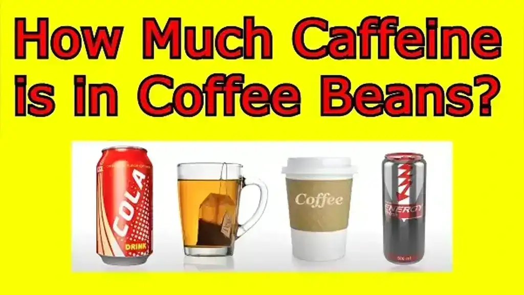 Caffeine Levels in Different Coffee Beans Guide