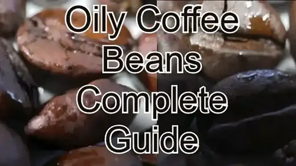 Oily Coffee Beans