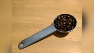 Standard Coffee Scoop Get Back to Basics