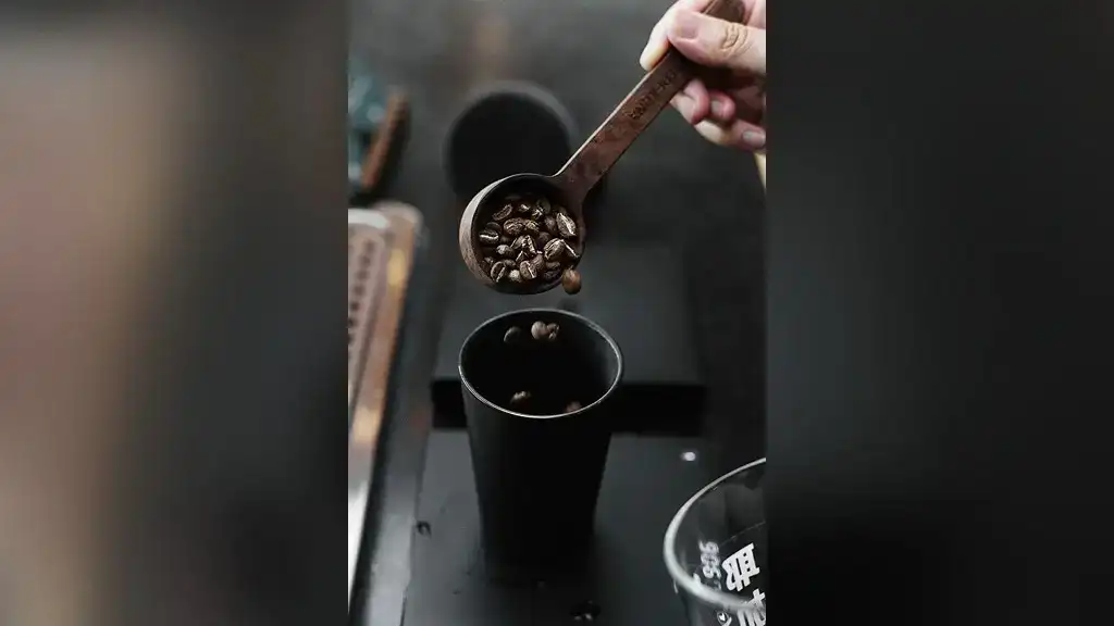 Top-Rated Coffee Scoops (2023)