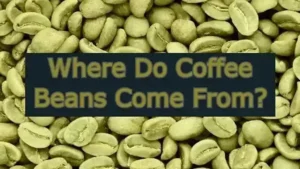 Where Do Coffee Beans Come From?
