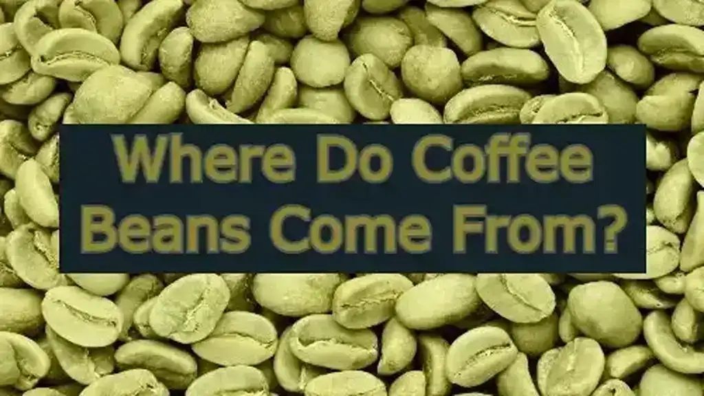 Where-Do-Coffee-Beans-Come-From-featured-image