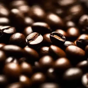 exploring_the_world_of_excelsa_coffee_beans-1