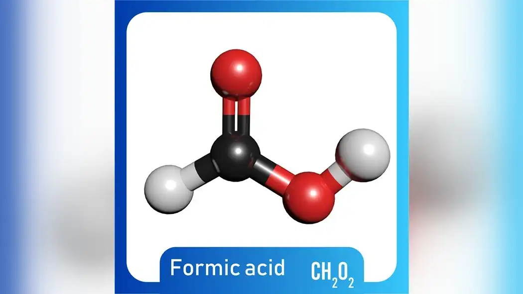 formic-acids-role-in-coffee-fermentation-1