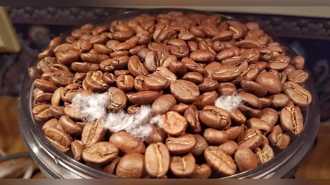 Prevent Mold With Moisture Control Hacks for Coffee