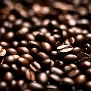 robusta_coffee_bean_profile-1