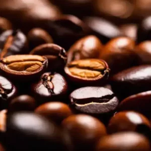 robusta_coffee_varieties_explored-1