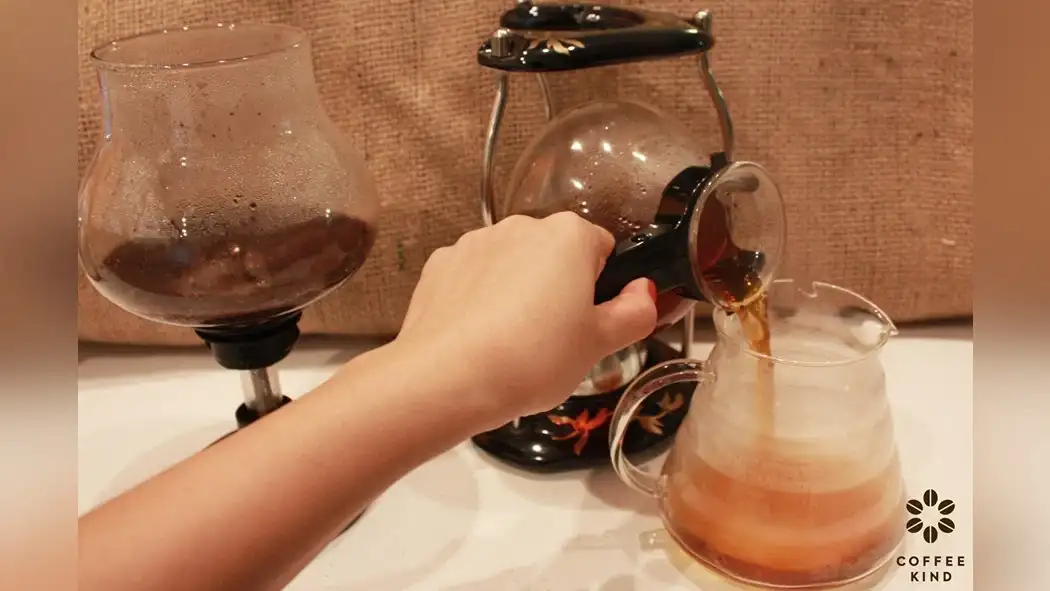 siphon-brewing-magic-unveiling-robustas-potential-1