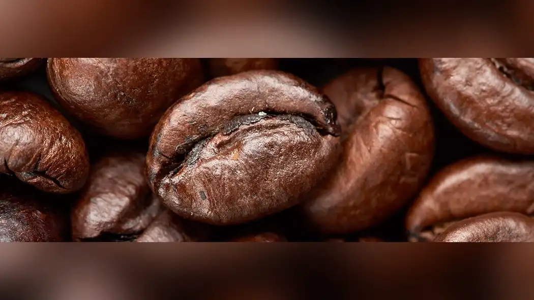 the-impact-of-roasting-on-robusta-coffee-beans-caffeine-content-1