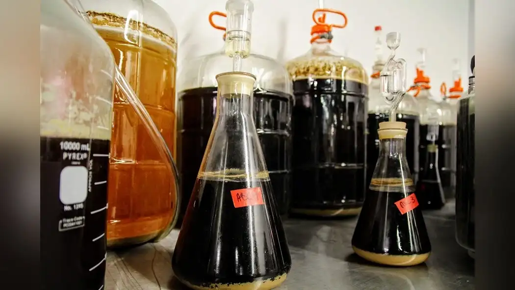 the-science-behind-cold-brew-and-protein-absorption-1