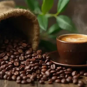 top_robusta_espresso_beans