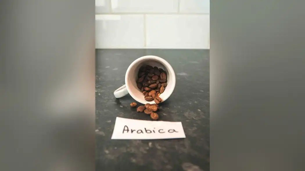 ultimate-guide-to-lowering-arabica-bean-acidity-1